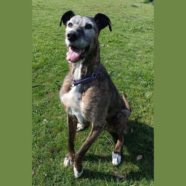 Photo of Ralph