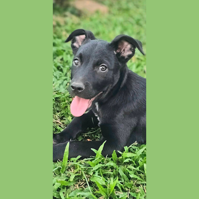 Photo of Denzel