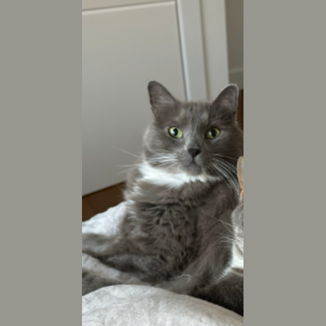 Photo of Luna