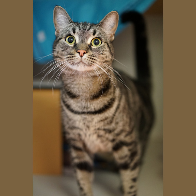 Photo of Duke