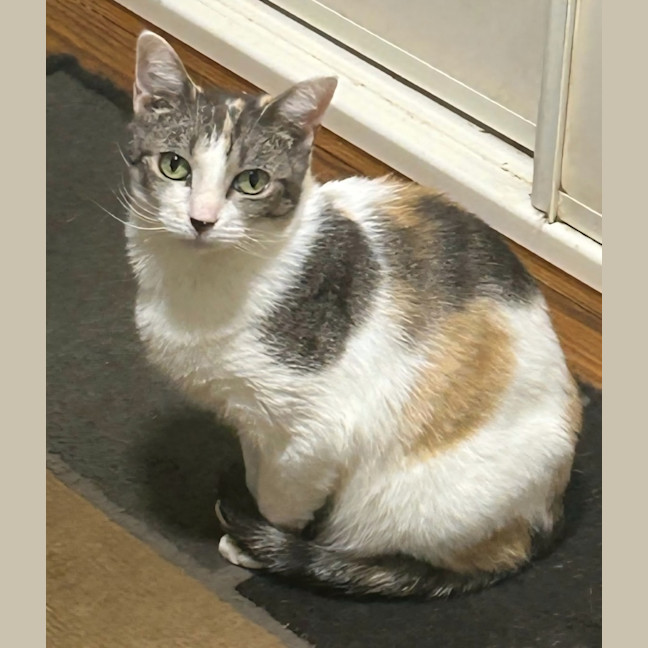 Photo of Vera