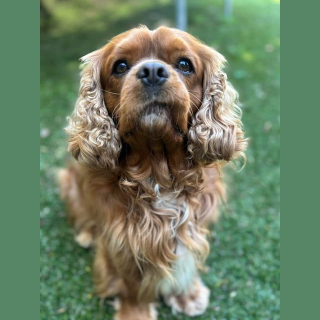 Photo of Toby And Cany Gurl 