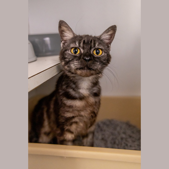 Photo of Pretty Woman