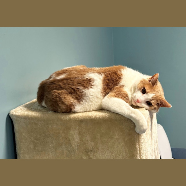 Photo of Lewis Sua013375