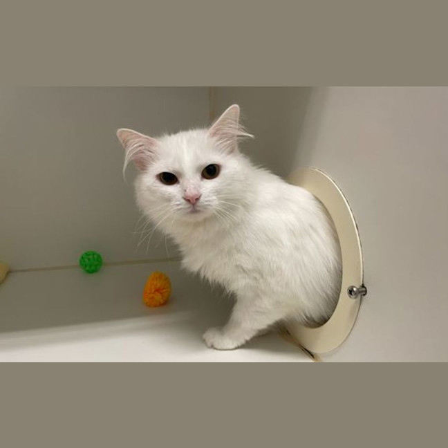 Photo of Baby