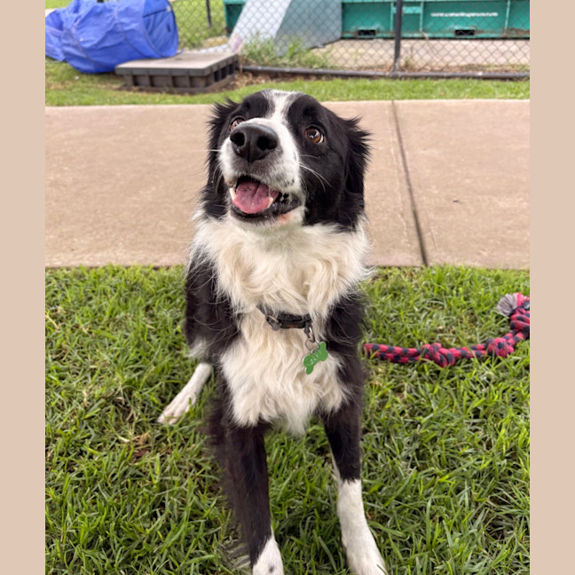 Photo of Gary 