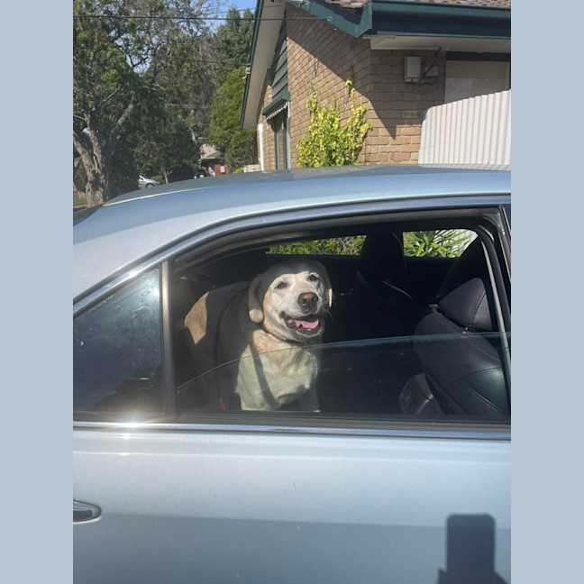 Photo of Sally