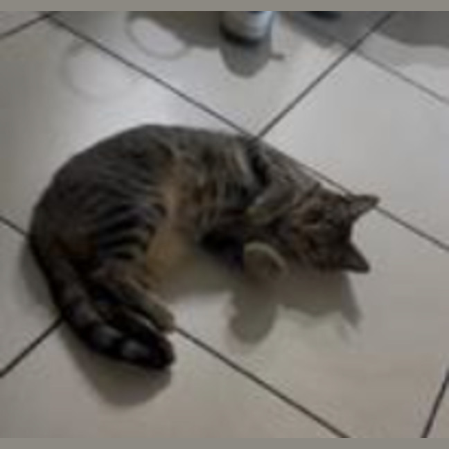 Photo of Thelma