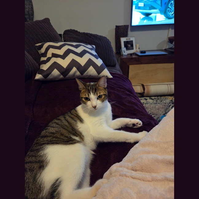 Photo of Maggie