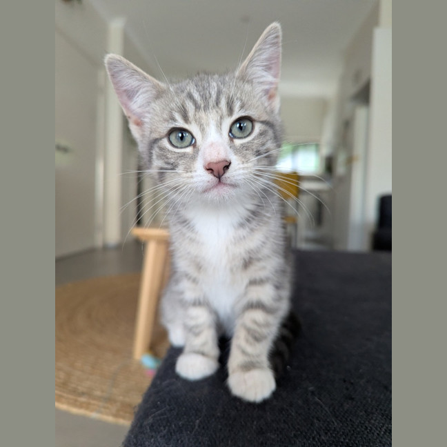 Photo of Isabella Scotty