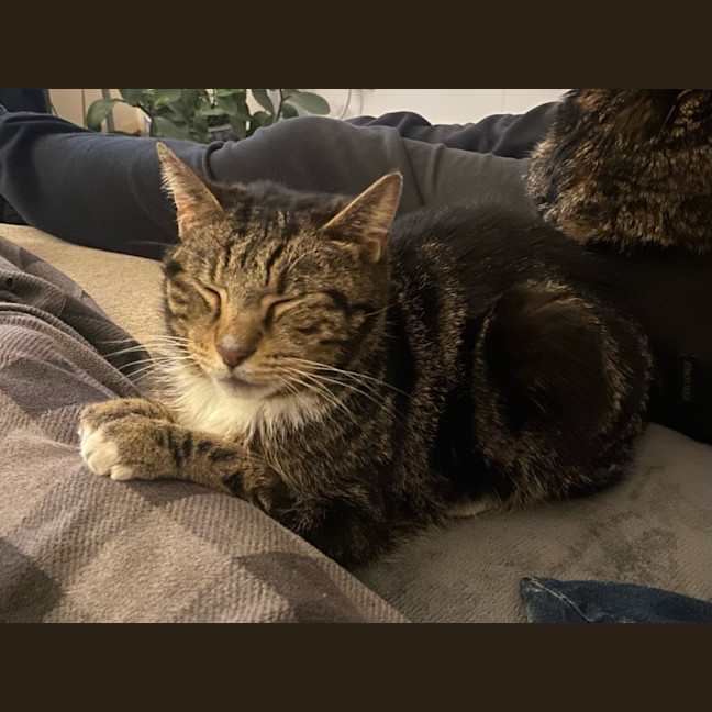 Photo of Marcie