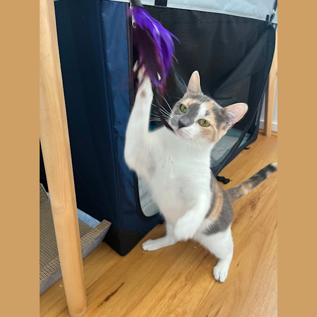 Photo of Elise