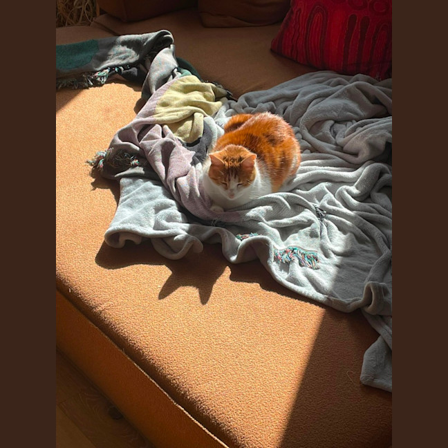 Photo of Bubbles