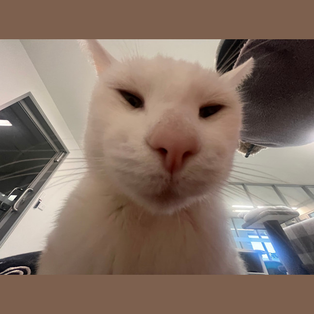 Photo of Casper The Friendly Ghost 