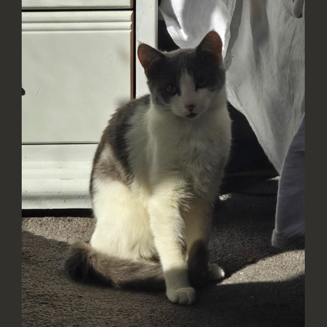 Photo of Abby