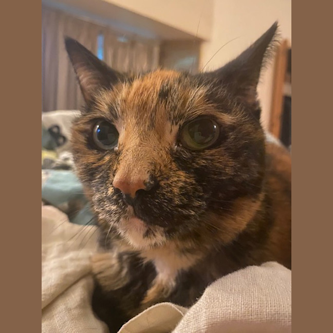 Photo of Leia