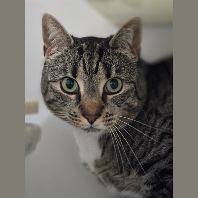 Photo of 🧂 Pepper 7558 🧂