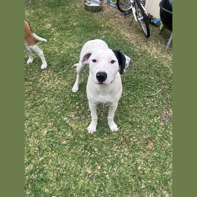 Photo of Sally