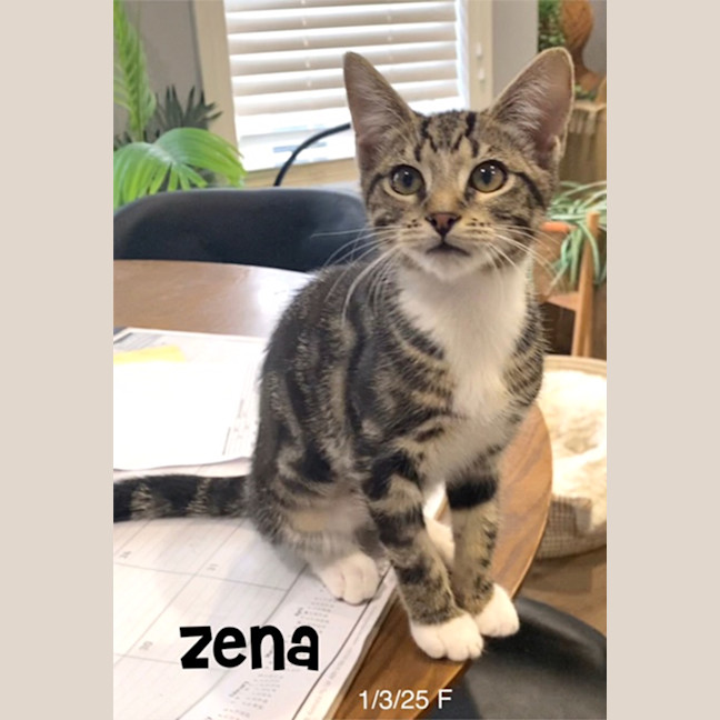 Photo of Zena