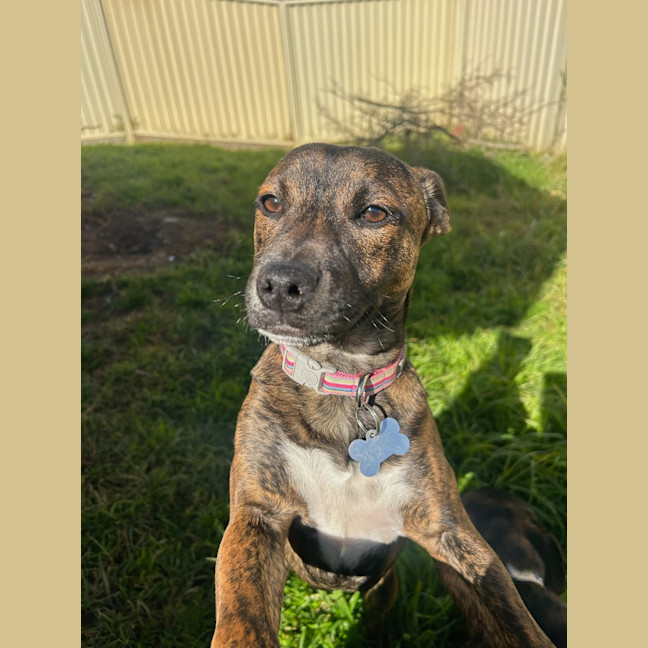 Photo of General Munchkin