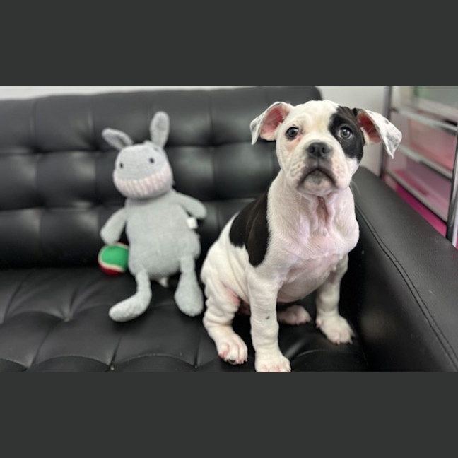 Photo of Matilda