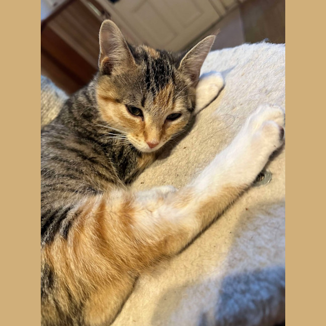 Photo of Wendy