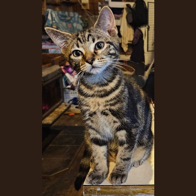 Photo of Oin