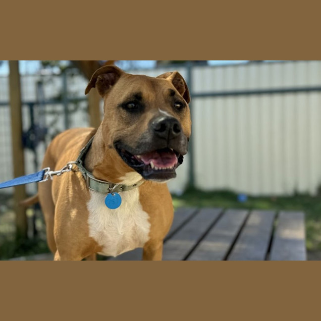 Photo of Penny