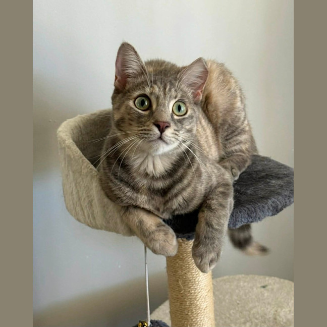 Photo of Charlotte