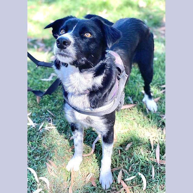 Photo of Zena