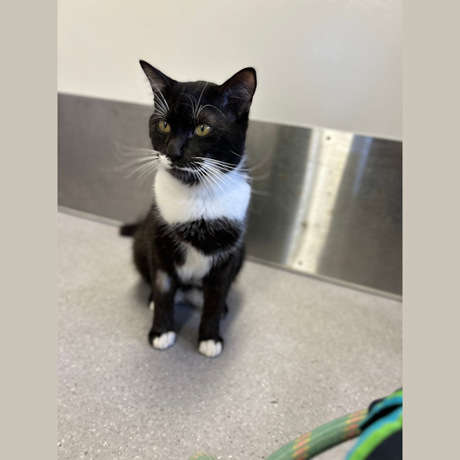 Photo of Nic Nicholas