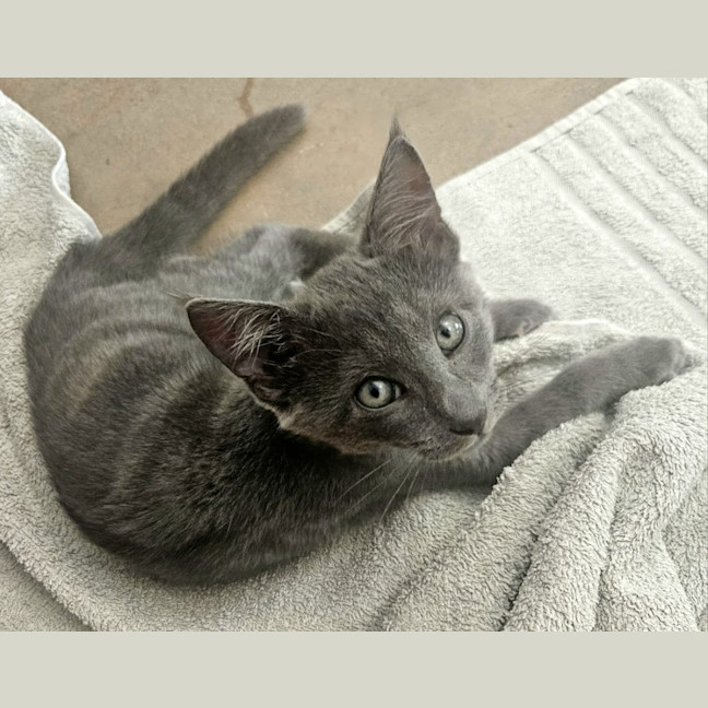 Photo of Asher