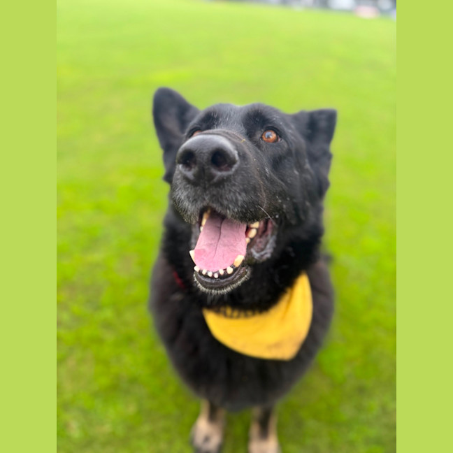 Photo of Zara