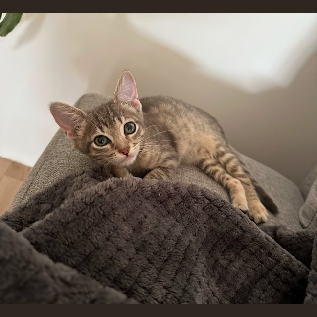 Photo of Lulu