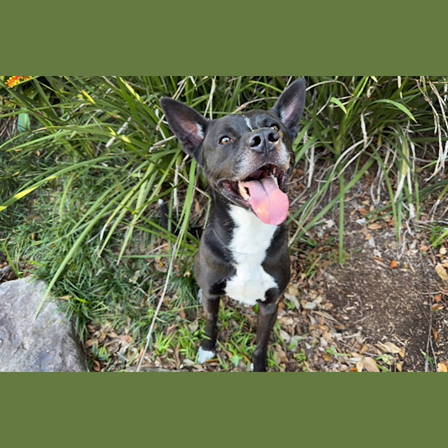 Photo of Little Bear