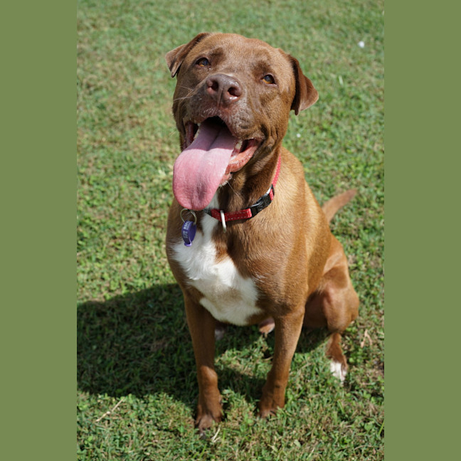 Photo of Wally