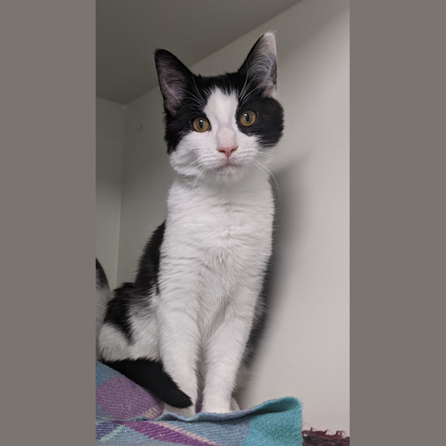 Photo of Cypher