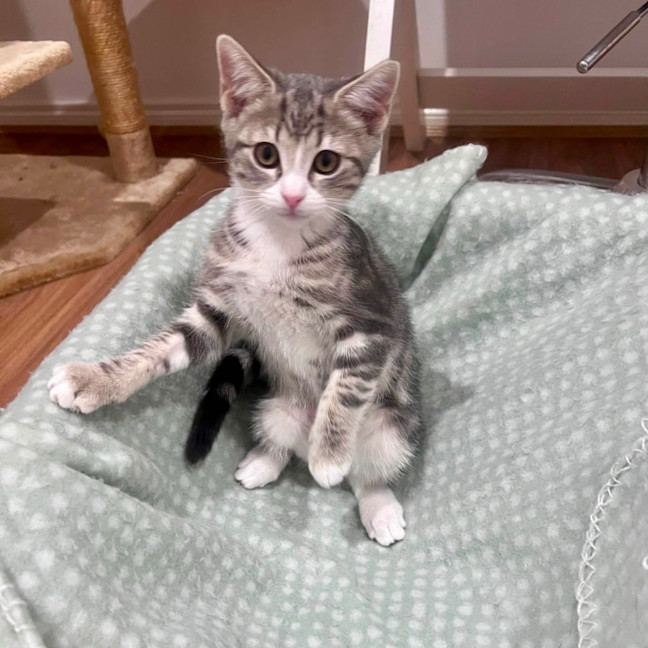 Photo of Charlotte   In Foster Care In Doreen