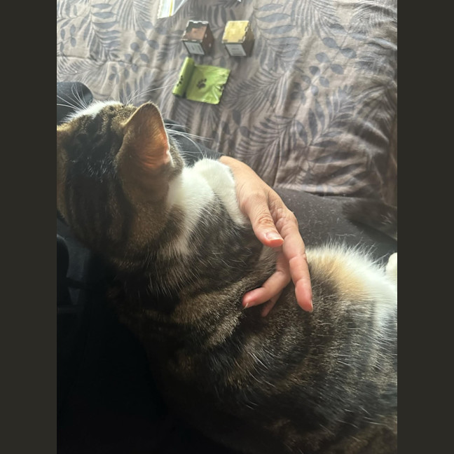 Photo of Laundry Basket