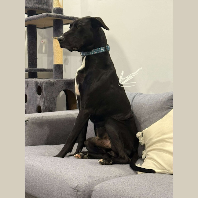 Photo of Duke
