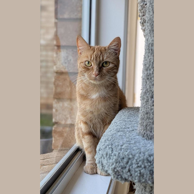 Photo of Annie