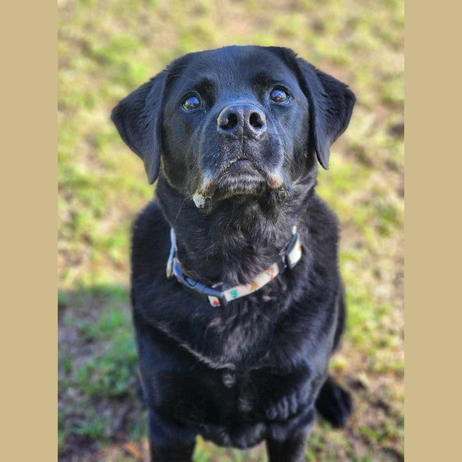 Photo of 🧀 Hugo 6240 🧀