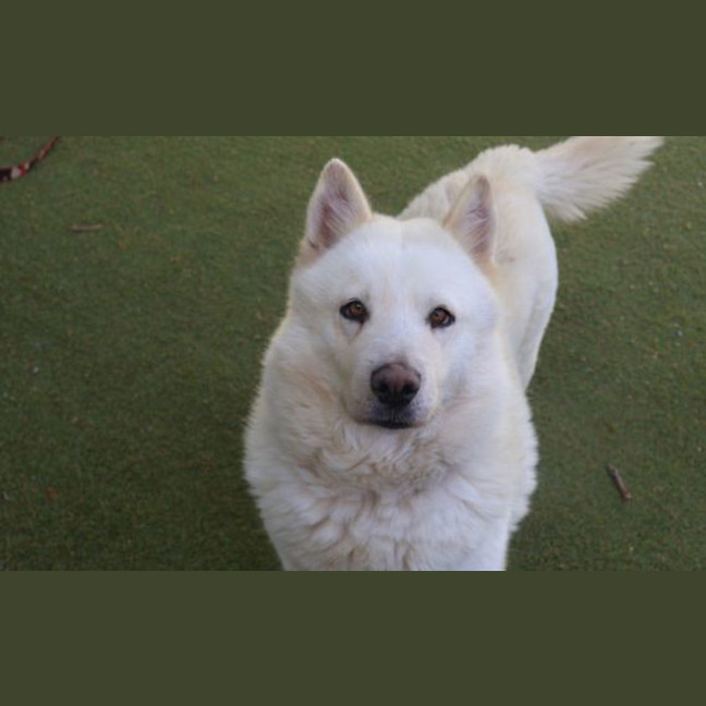 Photo of Luna