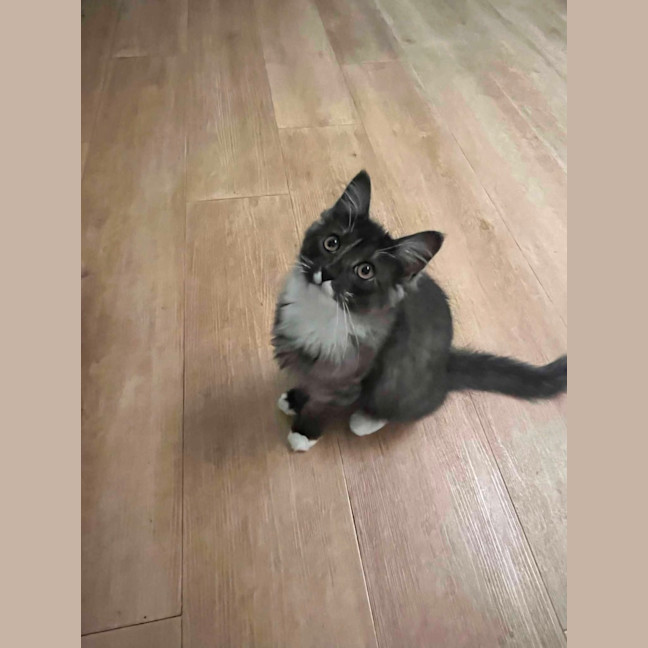 Photo of Zeek 