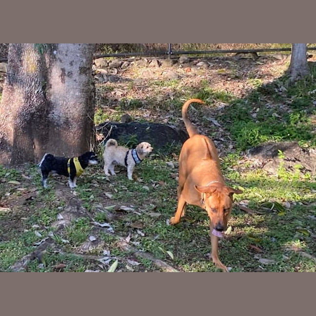 Photo of Coco And Cherry 