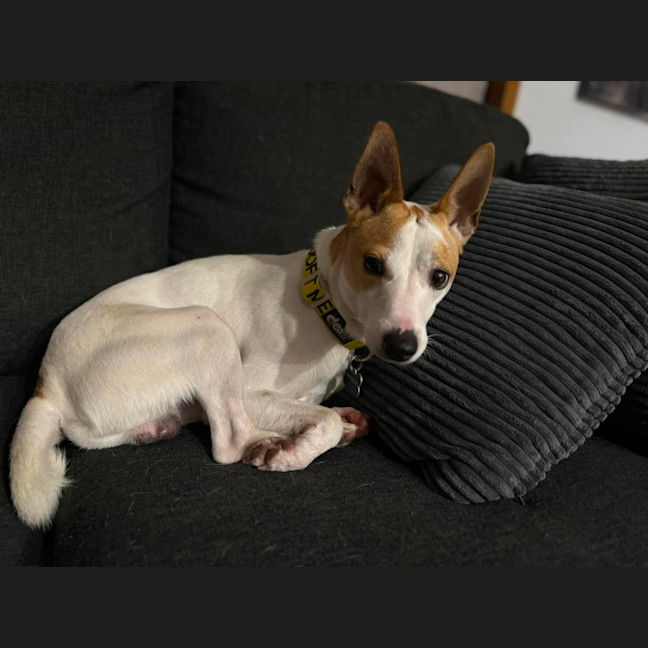 Photo of Zeek