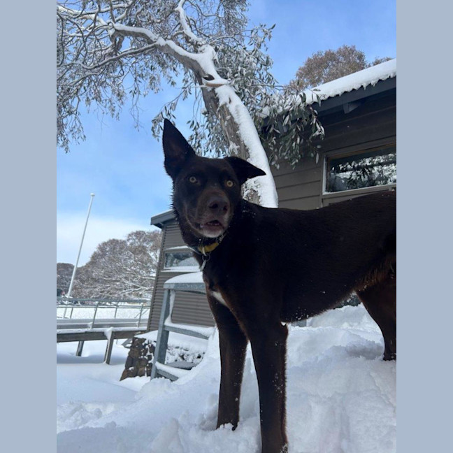 Photo of Milo Haliwell