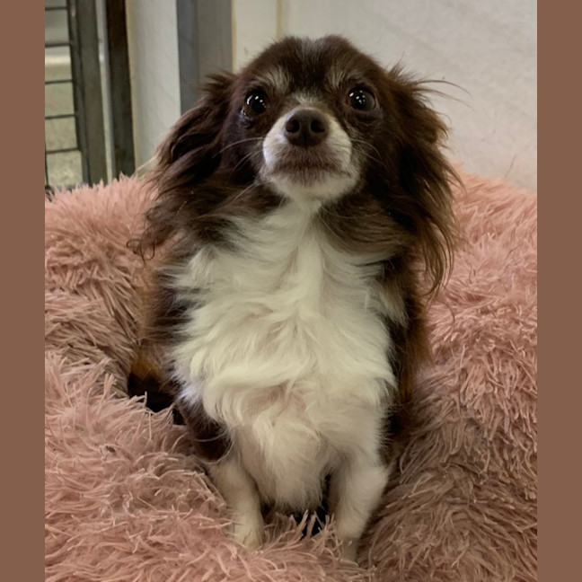 Photo of Marble (Please Read My Bio)