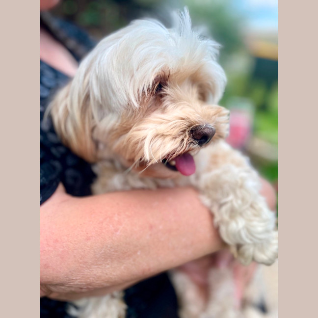 Photo of Molly & Benji