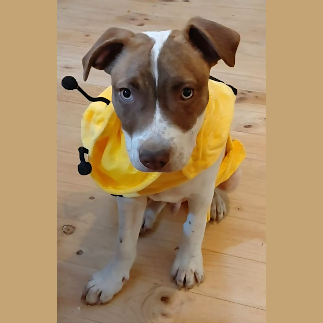 Photo of Bert & Ernie